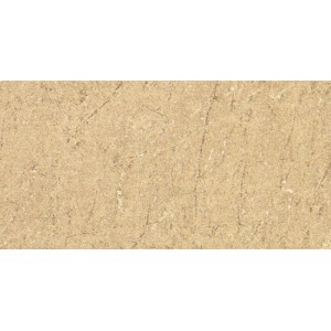 Gạch ốp tường Trường Thịnh BURGUNDY EA6334